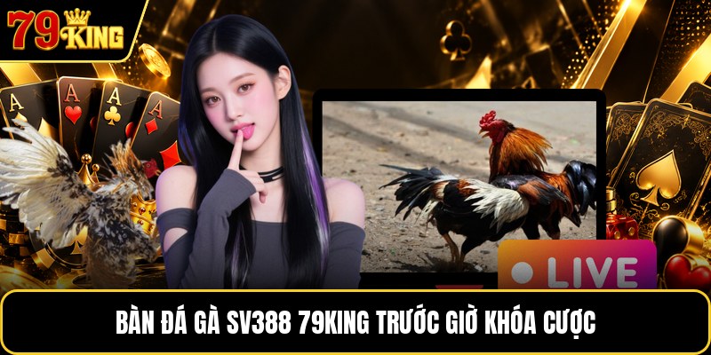 Bàn đá gà sv388 79KING trước giờ khóa cược