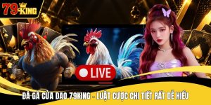 Đá Gà Cửa Dao 79KING - Luật Cược Chi Tiết Rất Dễ Hiểu
