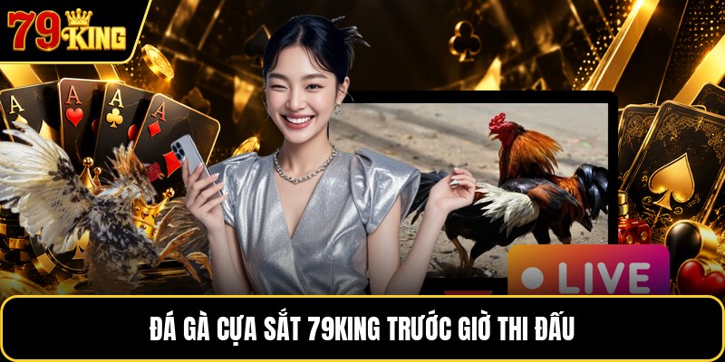 Đá gà cựa sắt 79KING trước giờ thi đấu