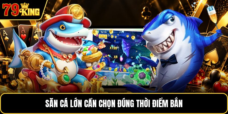 Săn cá lớn cần chọn đúng thời điểm bắn