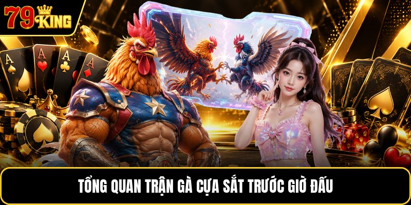 Tổng quan trận gà cựa sắt trước giờ đấu